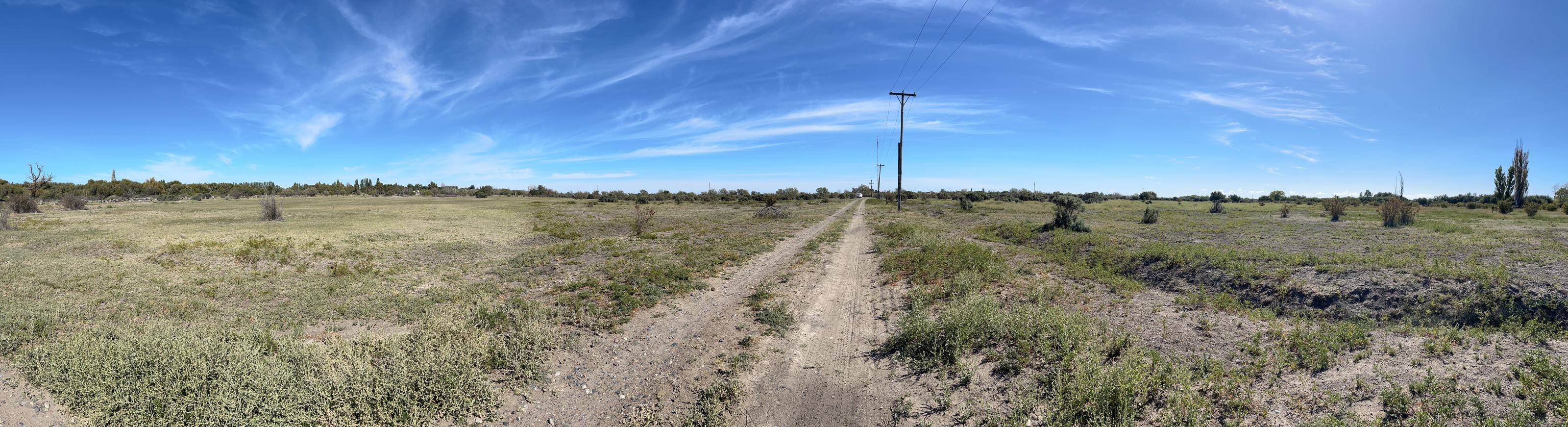 Panorámica del terreno con calle de tierra, postes de energía y arboleda al fondo
